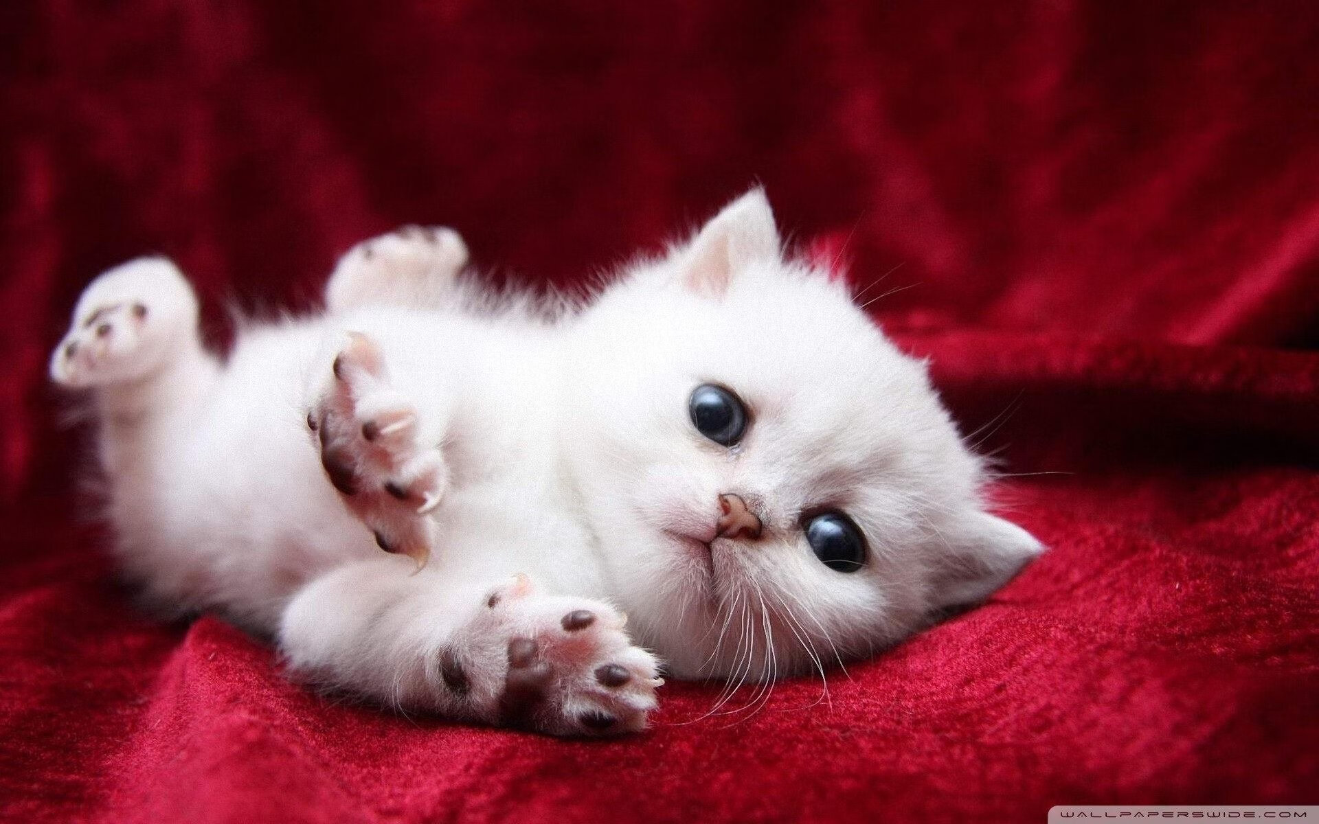 开云官网首页-CS2 选手训练成果显著，cs2 选手训练成果显著吗