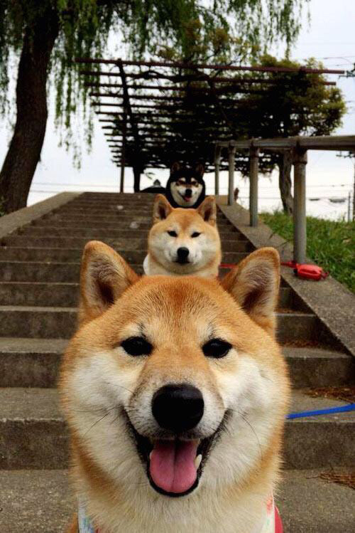 kaiyun体育综合-_冰雪奇幻体验：打破传统的极限冰雪运动_，冰雪运动是干嘛的