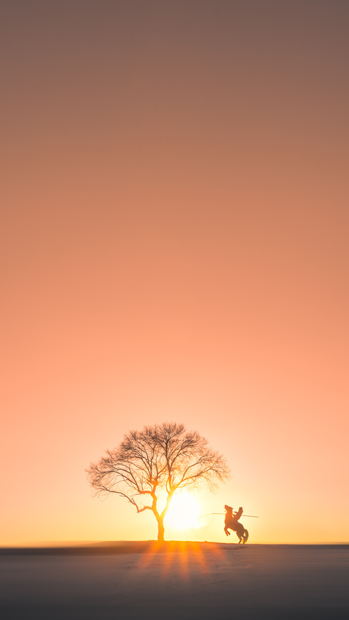 KAIYUN 中国大陆-_场外花絮：明星嘉宾到场助威，现场气氛热烈_，明星场外应援是什意思