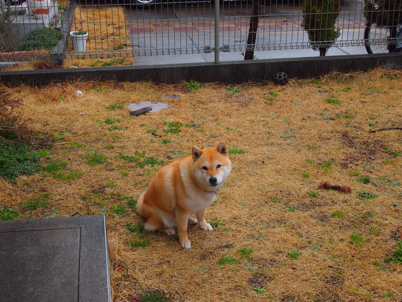 开云全站-_篮网众志成城，主场力拼小牛_，篮网队官方