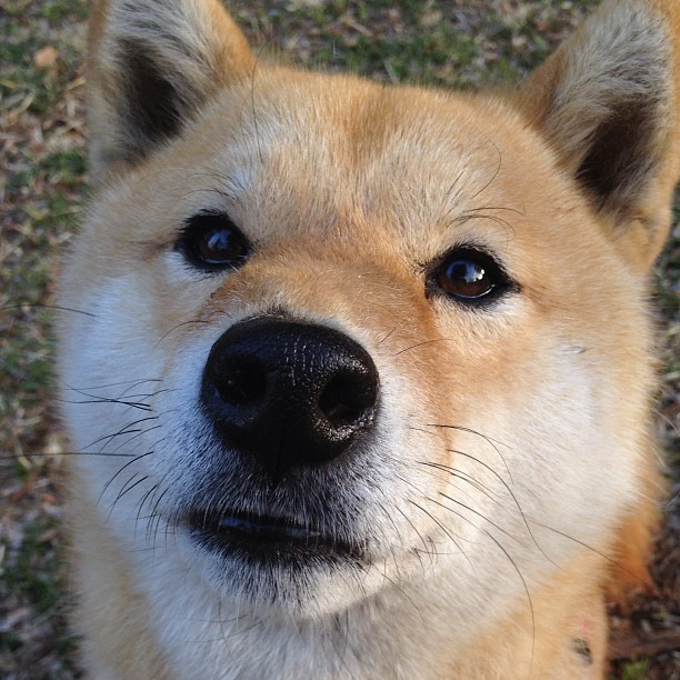 开云体育视频直播-“奇迹完成！弱旅逆袭强队，冠军梦再起”