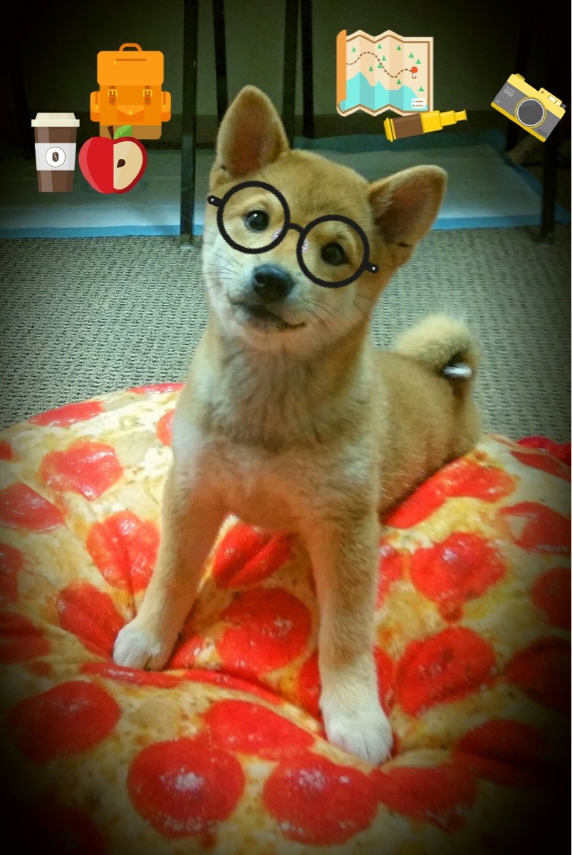 开云官网登录-“意甲青年军崭露头角，未来可期”，意甲年轻球员