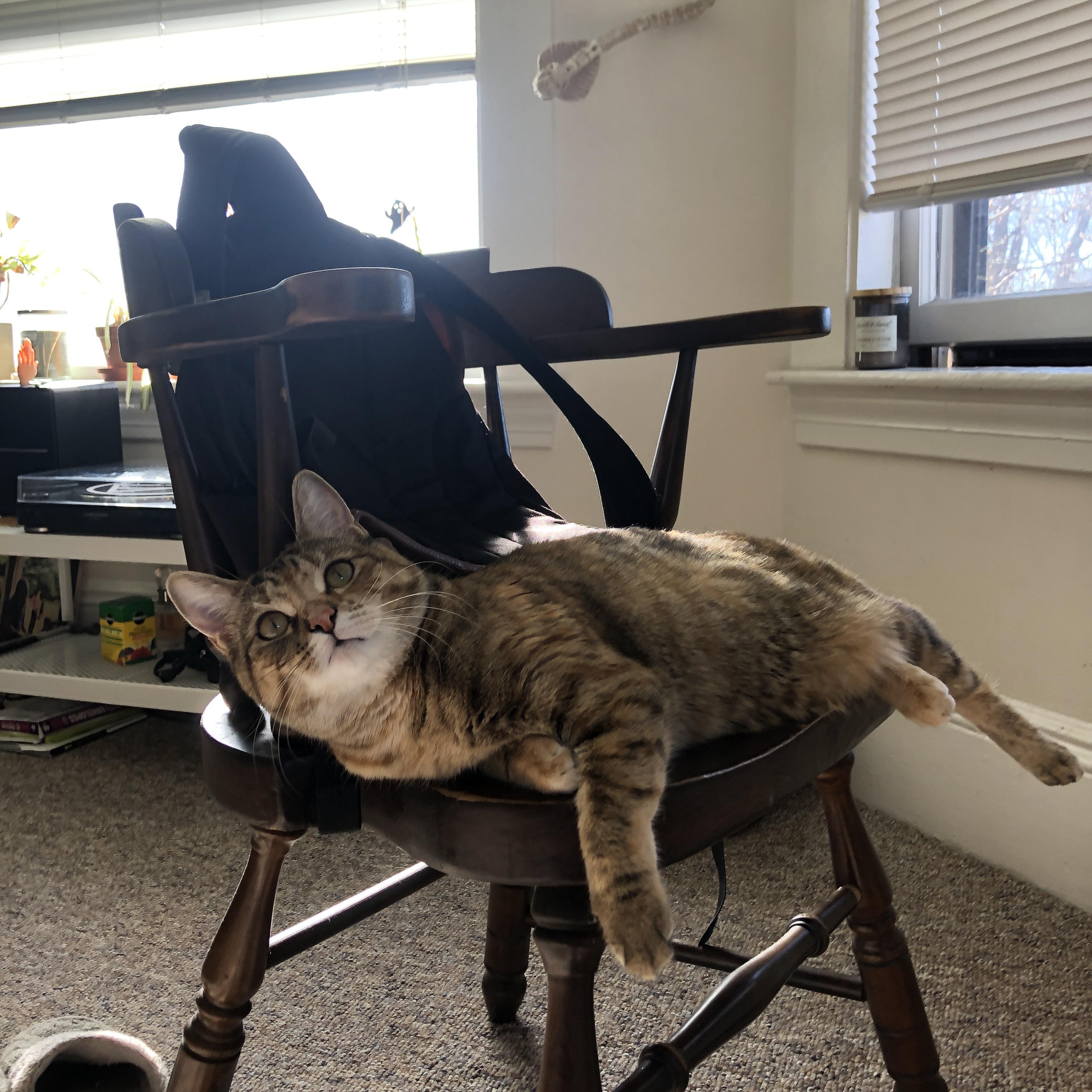 开云入口-“球星成长史：从新秀到联盟领袖的蜕变”，球星成长电影