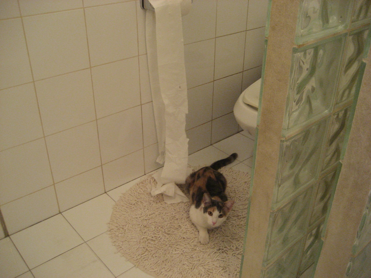 开云官网-中国足球国际合作窗口不断扩大，吸引更多海外青训资源，中国足球引进外援参与国际赛事