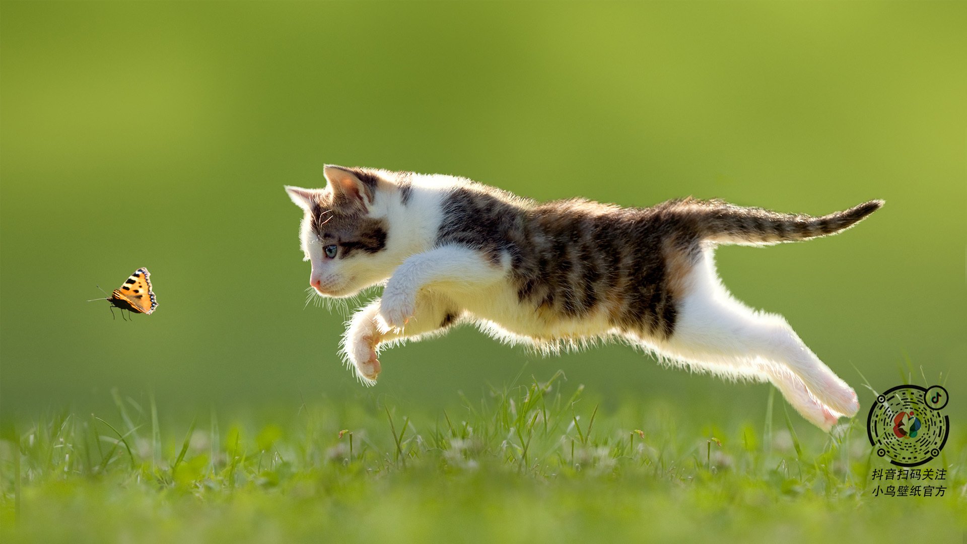 开云中国大陆-史上最大“逆转骑士”崛起，奇迹不断！，ps3逆转骑士