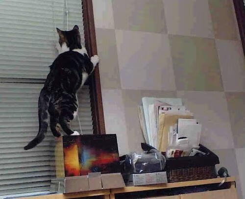 开云体育中国官网-现场氛围：观众席座无虚席，气氛火热沸腾！，观众席座次如何安排