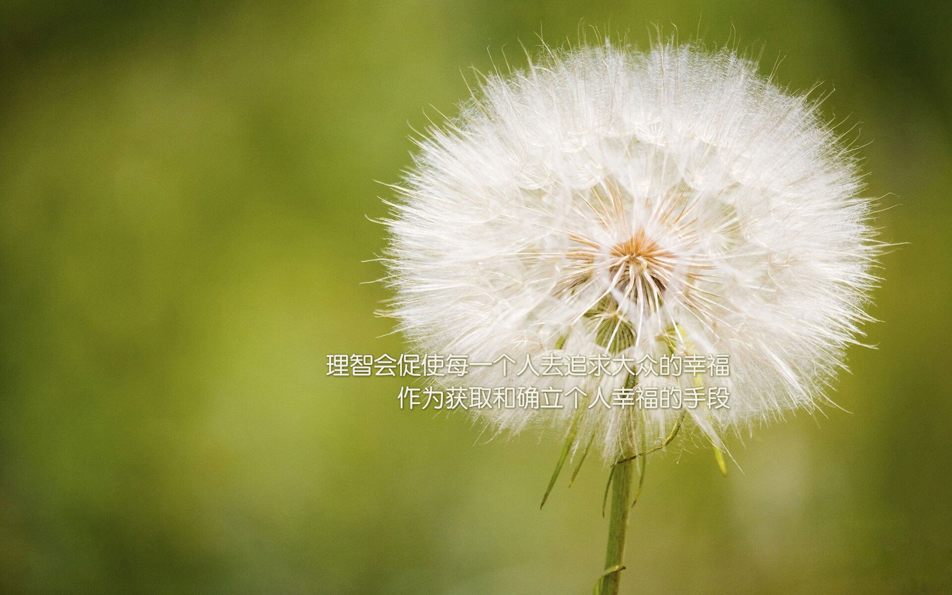 开云中国-篮球青训体系引进国际先进训练方法，篮球 青训