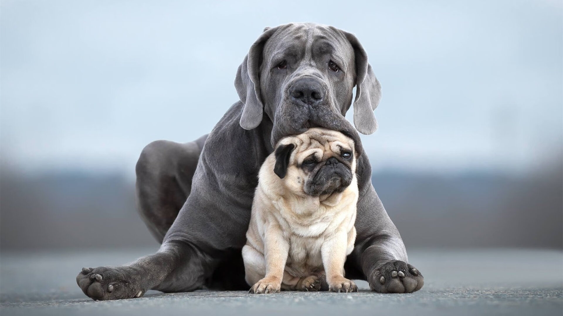 开云首页登录-线上线下齐头并进的青少年篮球社区日益壮大，实现全民普惠，青少年暑期篮球培训班宣传