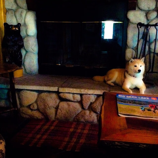 开云官方网页登录-西甲创新技术应用，提升比赛公平性，西甲专题