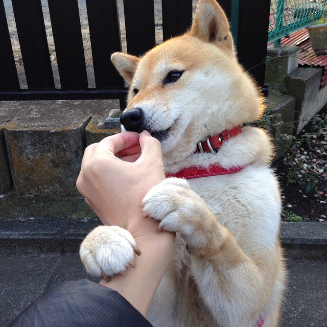 开云官方网站-TL冲击世界赛席位，冲击世界冠军