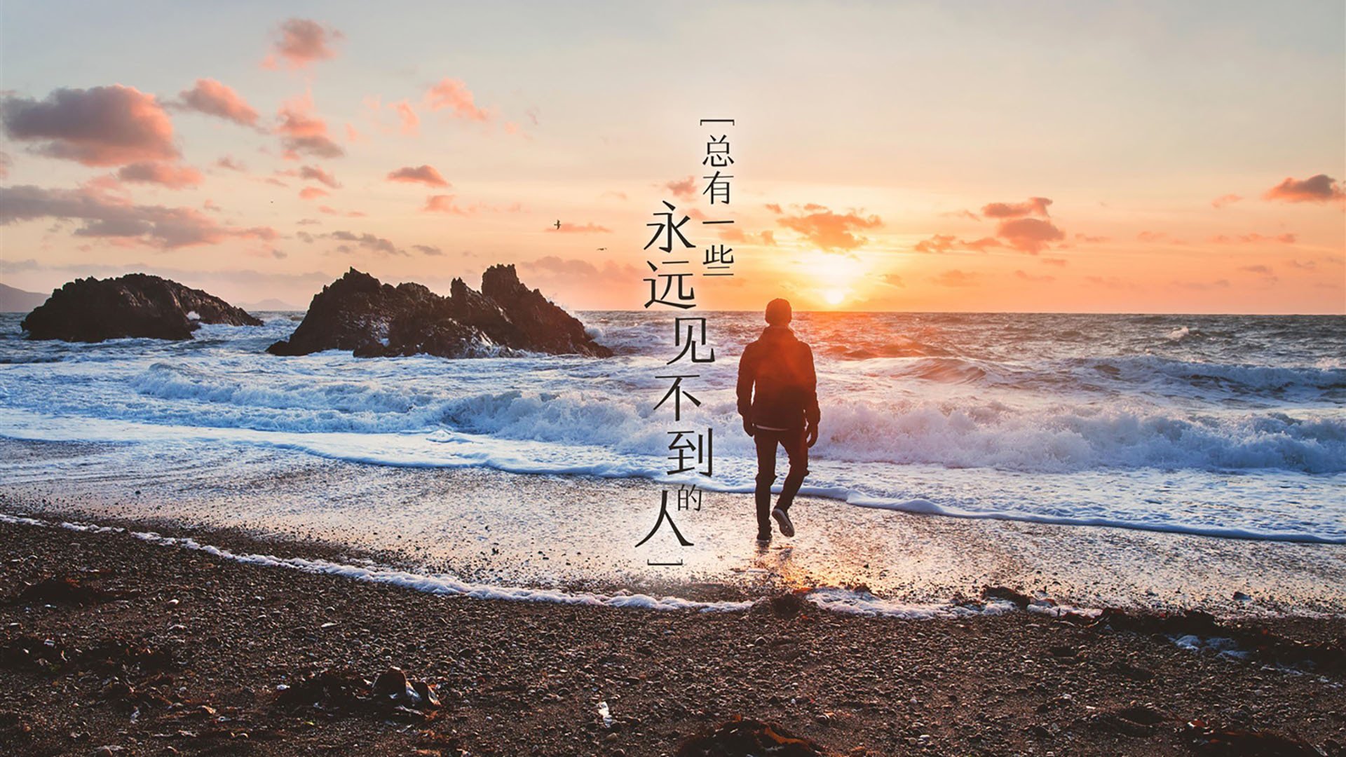 开云中国-本菲卡冲击联赛冠军，本菲卡决赛