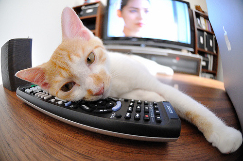 开云体育APP下载-电竞社区多元文化融合的管理经验与发展趋势分析，电竞社区平台