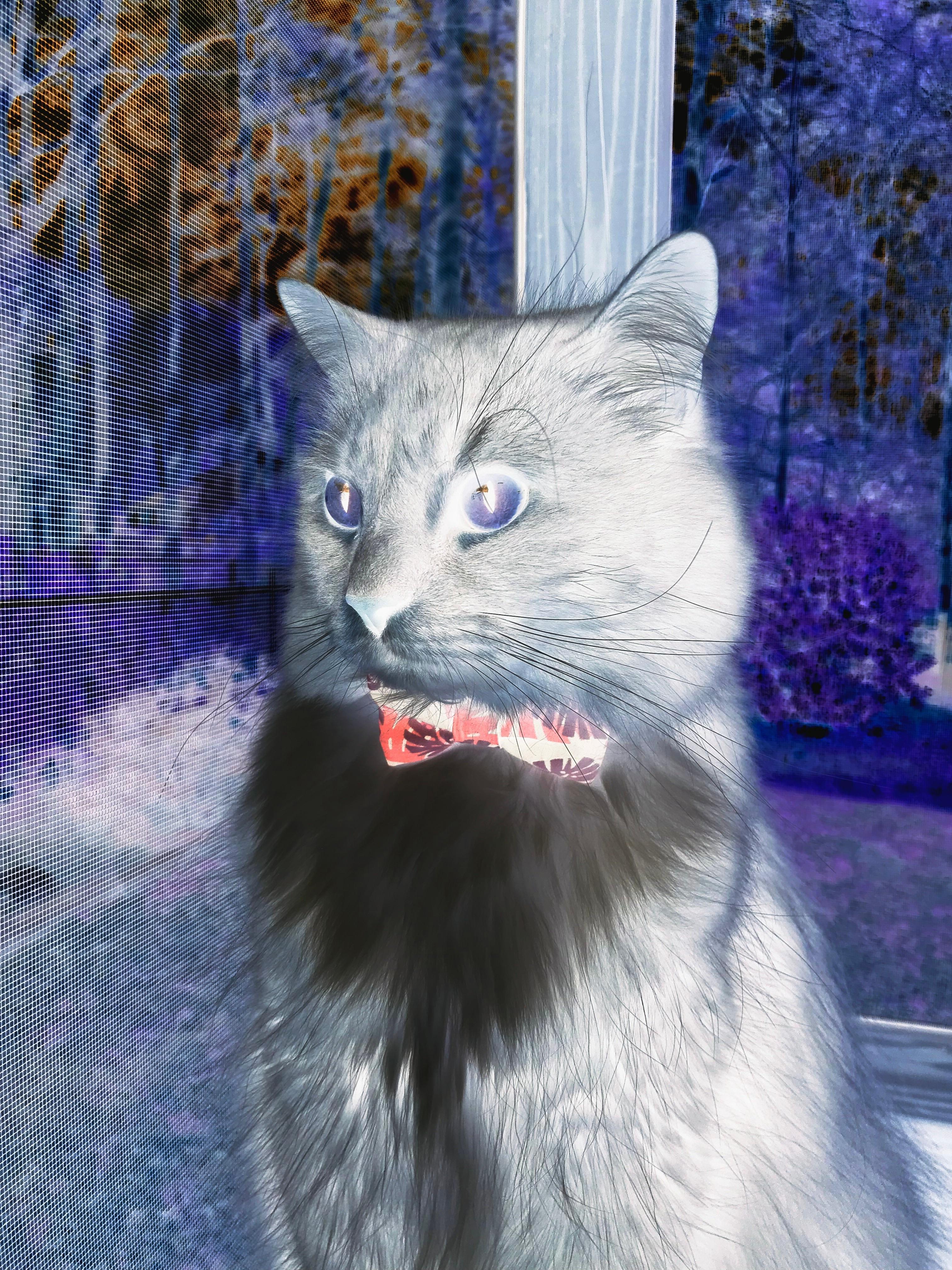 中国足球比赛节奏突变点对比分影响,中国足球节奏慢