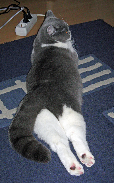 开云APP-亚冠赛场再现经典逆转局面，2021亚冠比赛规则