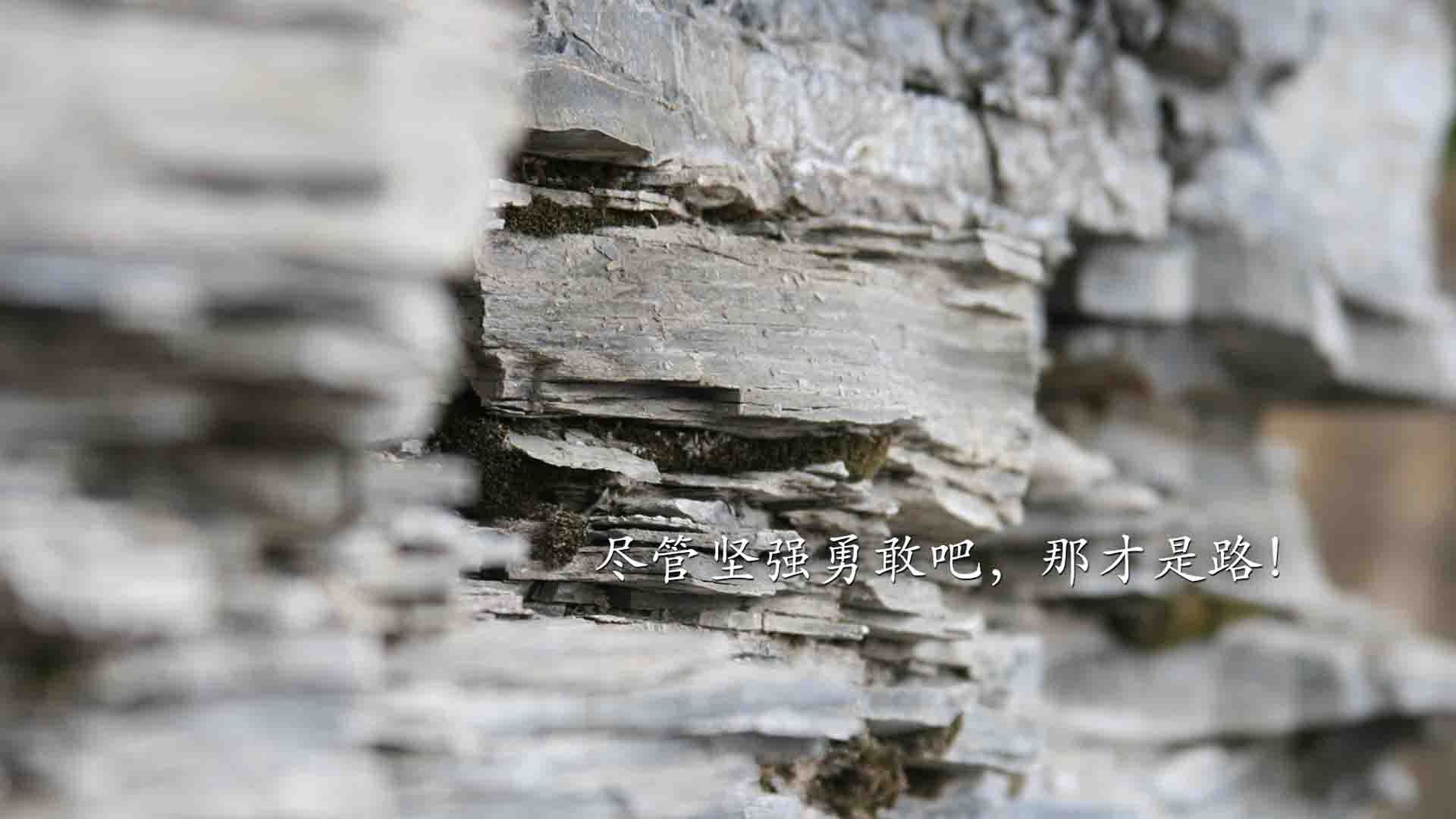 开云电竞-篮网训练服饰设计获时尚博主好评，nba篮网队训练服